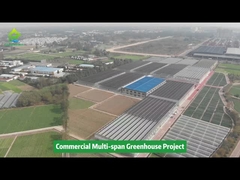 گلخانه کشت سبزیجات کشاورزی تونل پلی پلاستیک چند دهانه