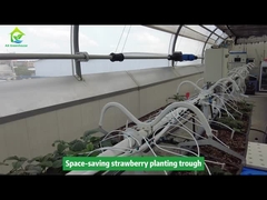 ناودان کاشت توت‌فرنگی