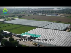 گلخانه شیشه ای کاملا هوشمند برای رشد گوجه فرنگی و فلفل