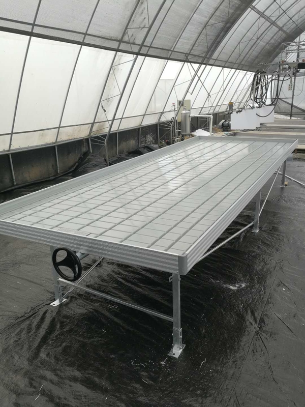 میز رشد سینی سیلابی رولینگ Ebb And Flow برای نهال گلخانه گل