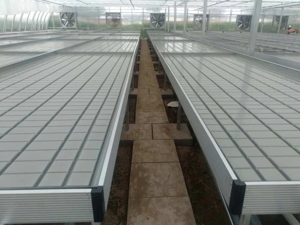 میز رشد سینی سیلابی رولینگ Ebb And Flow برای نهال گلخانه گل