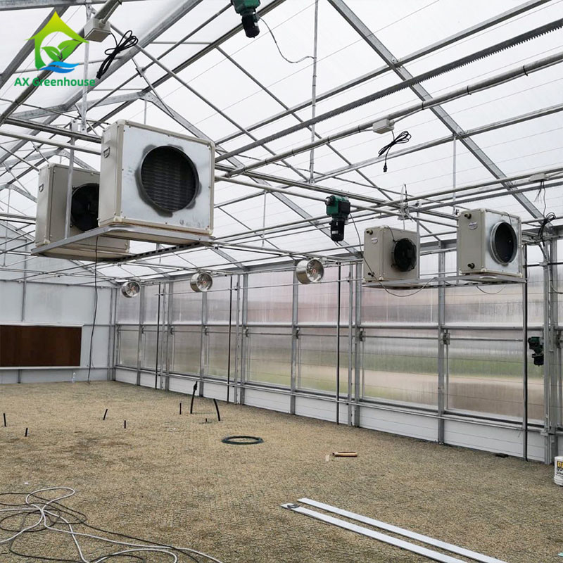 گلخانه PE Film 220V Auto Light Deprivation 100% Blackout High Tunnel گلخانه برای کاشت ماریگوانا