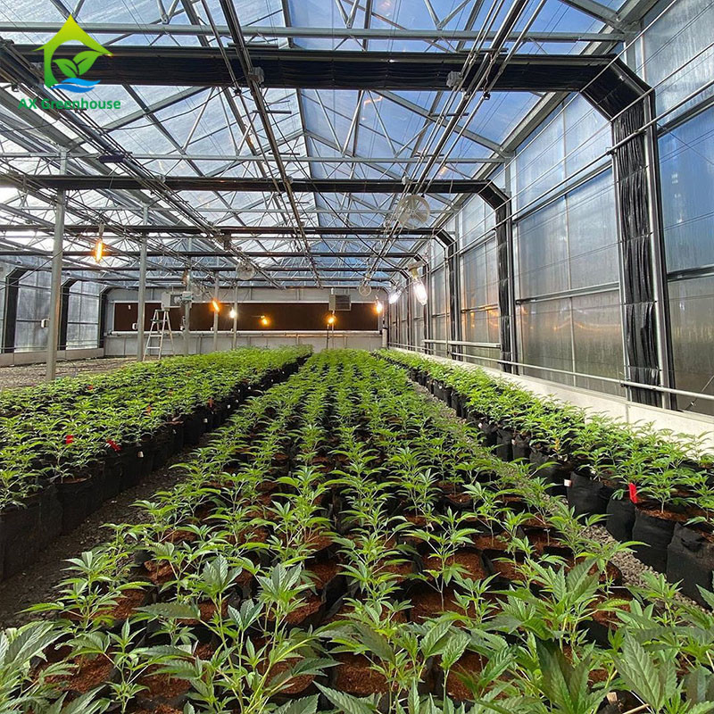 گلخانه PE Film 220V Auto Light Deprivation 100% Blackout High Tunnel گلخانه برای کاشت ماریگوانا