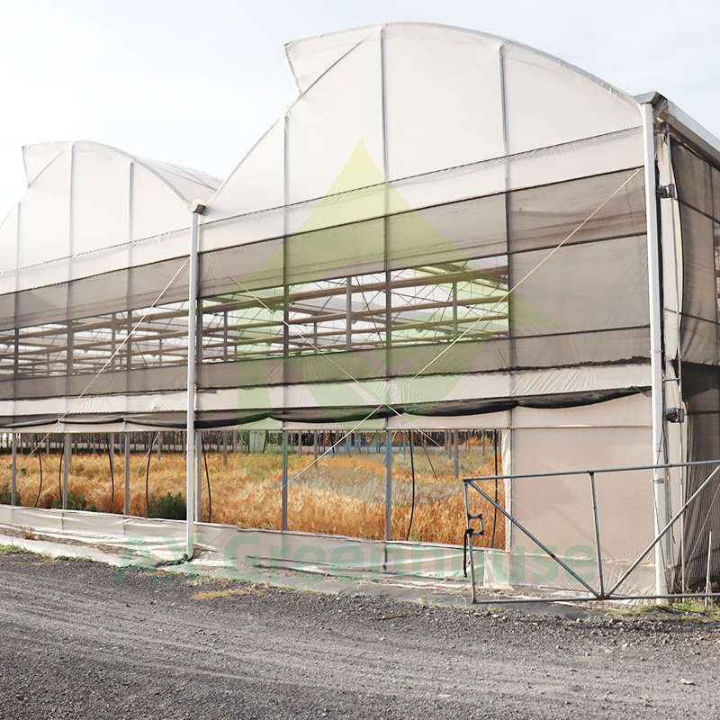 ساختار فولادی فیلم مقاوم در برابر اشعه UV Poly Tunnel Multi-span گلخانه سبزیجات برای گوجه فرنگی