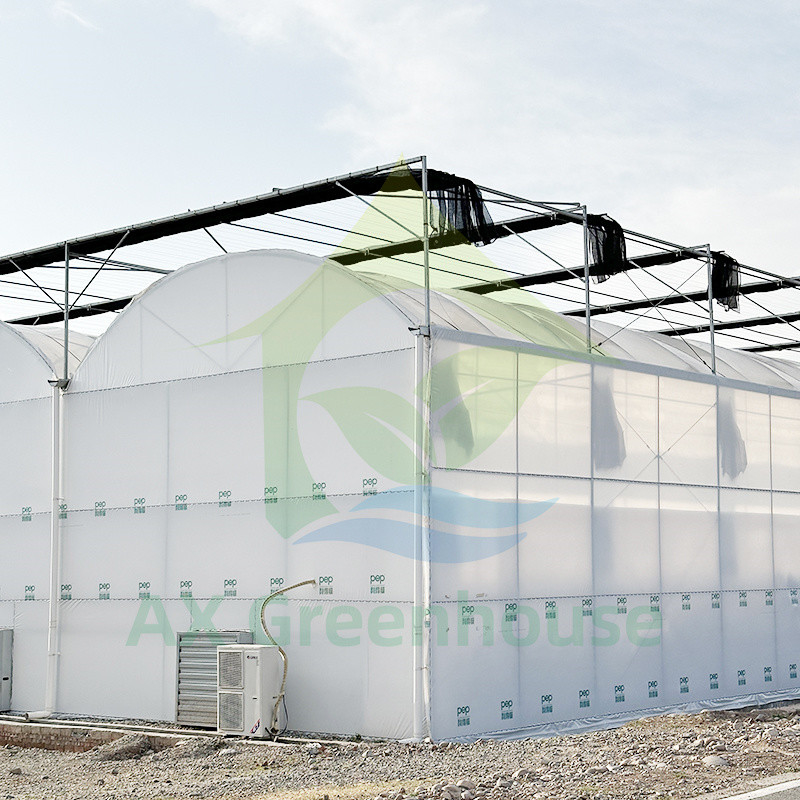 گلخانه پلاستیکی PE Film Multi Span Tomato Poly Tunnel برای میوه ها و سبزیجات با شبکه سایه