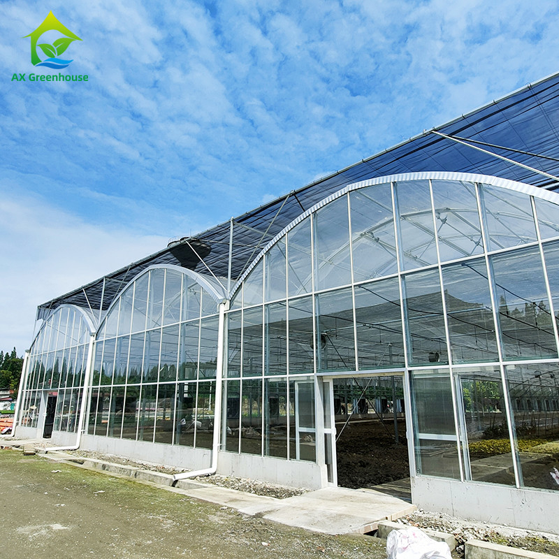 سیستم کنترل هوشمند گلخانه ای پایدار برای سبزیجات 9.6m/10.8m/12m عرض