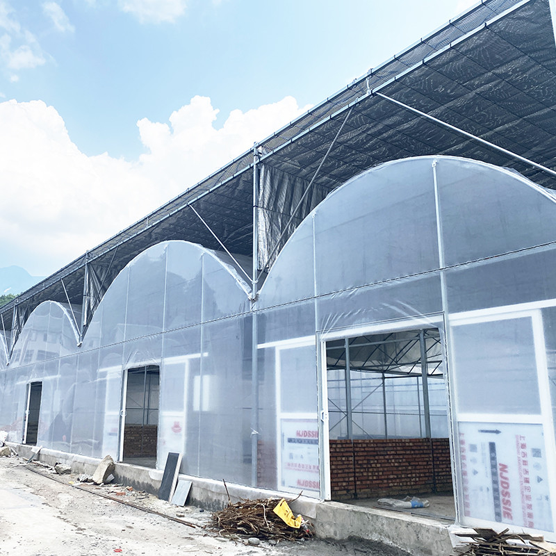 گلخانه ی ضد اشعه ی UV 30x10m پلاستیکی برای گوجه فرنگی و سبزیجات با پوشش فیلم