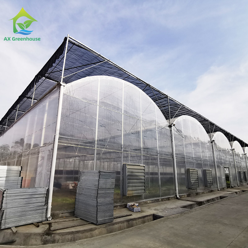 گلخانه ی ضد اشعه ی UV 30x10m پلاستیکی برای گوجه فرنگی و سبزیجات با پوشش فیلم