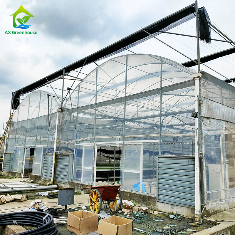 گلخانه ی ضد اشعه ی UV 30x10m پلاستیکی برای گوجه فرنگی و سبزیجات با پوشش فیلم