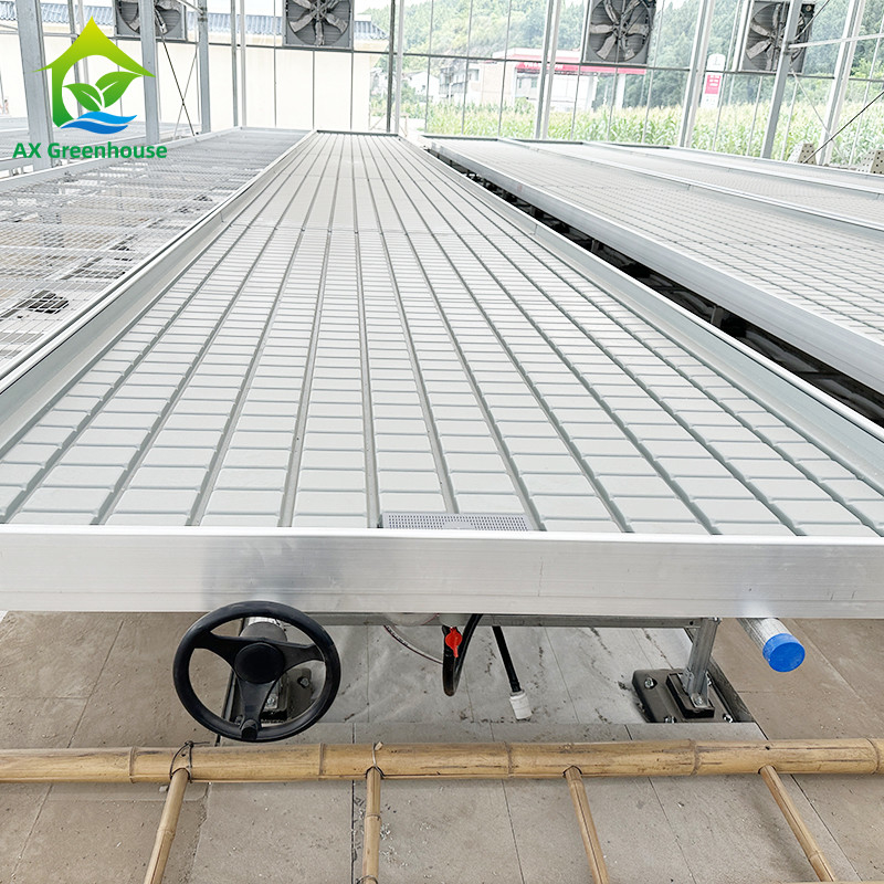 گلخانه کشت هیدروپونیک بدون خاک Ebb Flood Grow Table Seedbed Rolling Bench برای کاهو