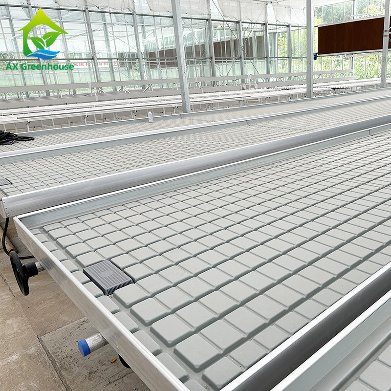 گلخانه کشت هیدروپونیک بدون خاک Ebb Flood Grow Table Seedbed Rolling Bench برای کاهو