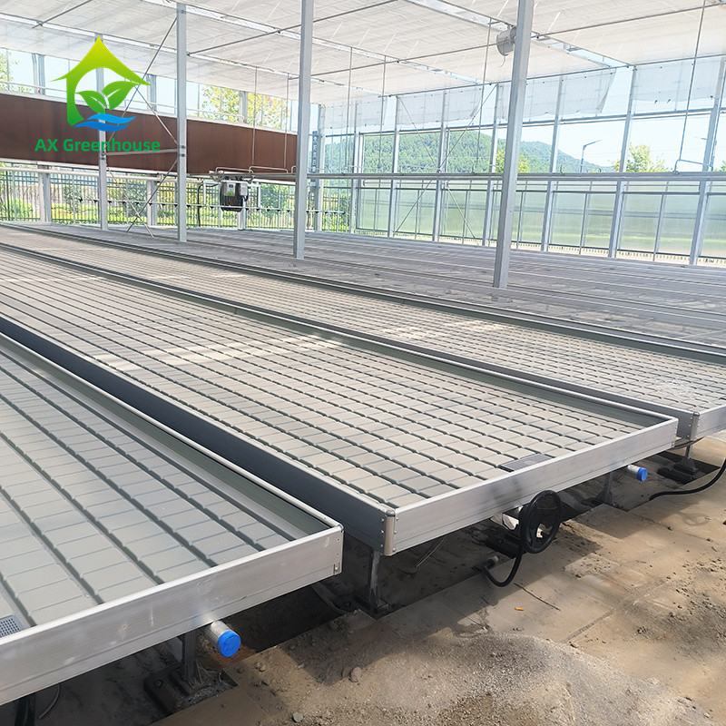 گلخانه کشت هیدروپونیک بدون خاک Ebb Flood Grow Table Seedbed Rolling Bench برای کاهو