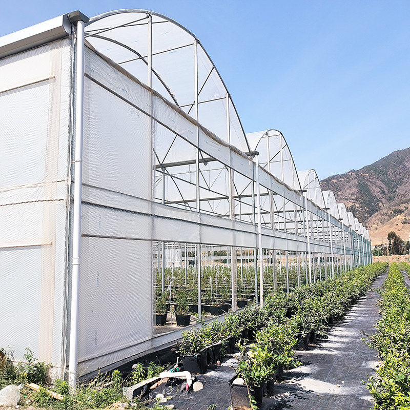 گلخانه ی ضد اشعه ی UV 30x10m پلاستیکی برای گوجه فرنگی و سبزیجات با پوشش فیلم