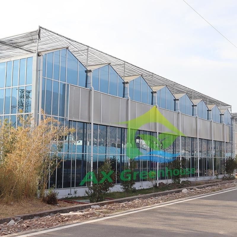 گلخانه شیشه ای کشاورزی نوع ونلو، پانل های سکوریت شده، قاب فولادی گالوانیزه برای کشت خیار