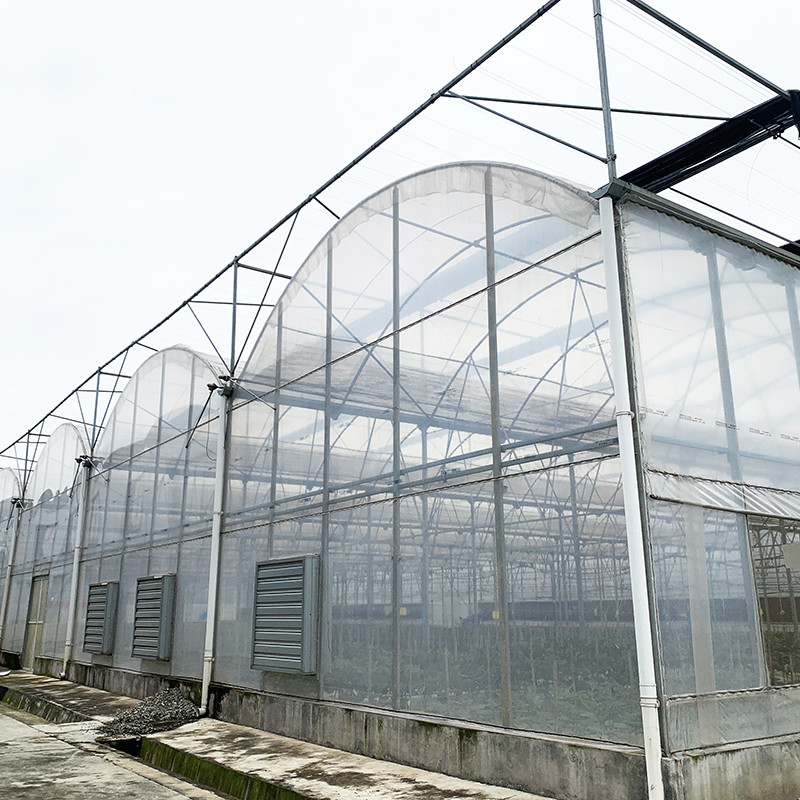ساختار فولادی فیلم مقاوم در برابر اشعه UV Poly Tunnel Multi-span گلخانه سبزیجات برای گوجه فرنگی