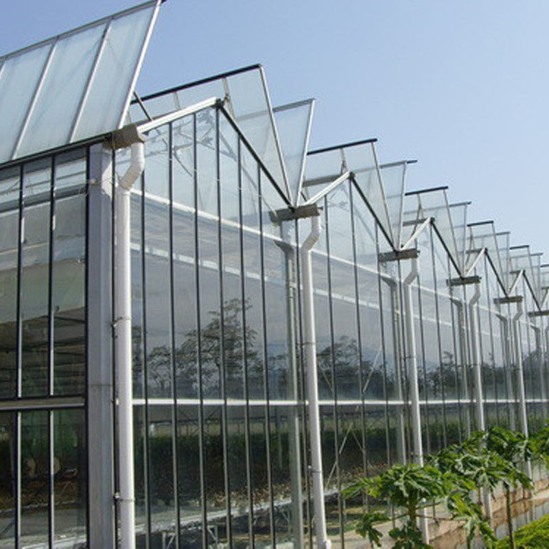 گلزارزارزارزارزارزارزارزارزارزارزارزارزارزارزارزارزارزارزارزارزارزارزارزارزارزارزارزارزارزارزارزارزار