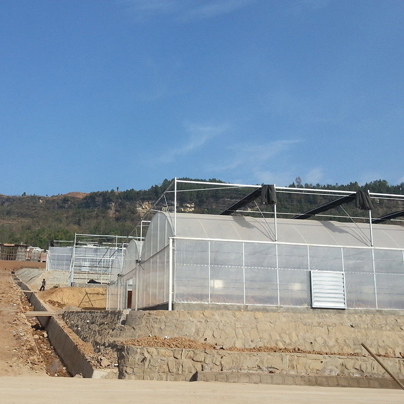 قاب فولادی ضد زنگ قابل اعتماد فلمی طولانی مدت برای گوجه فرنگی