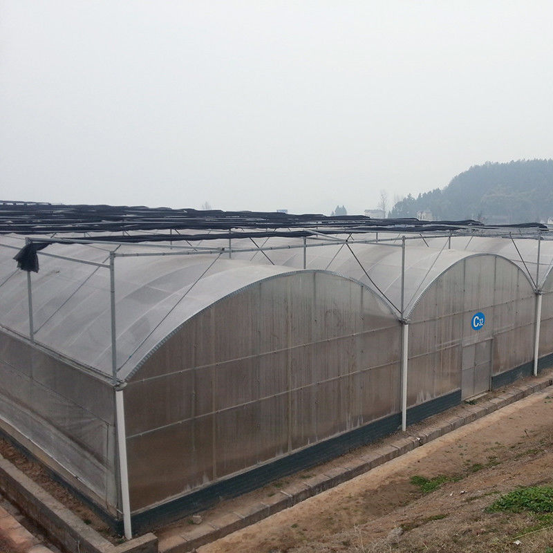 قاب فولادی ضد زنگ قابل اعتماد فلمی طولانی مدت برای گوجه فرنگی