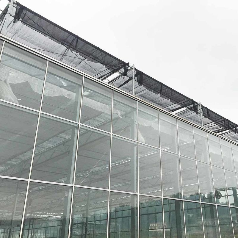 زراعت ولو نوع شیشه گلخانه مهندسی هلندی قاب گالوانیزه برای هیدروپونیک