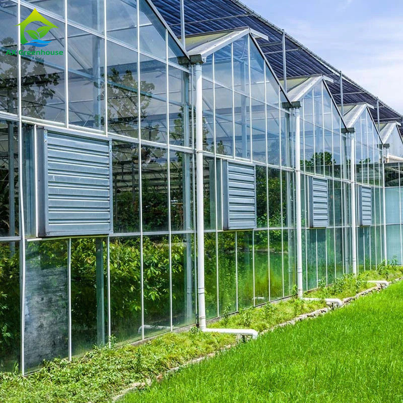 زراعت ولو نوع شیشه گلخانه مهندسی هلندی قاب گالوانیزه برای هیدروپونیک