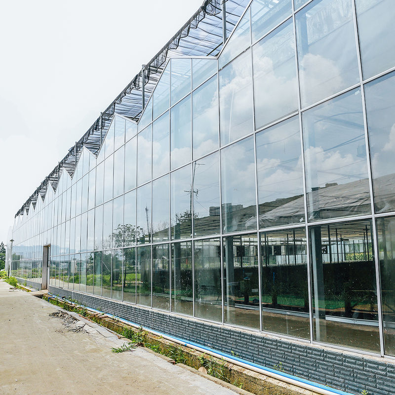 گلزارزارزارزارزارزارزارزارزارزارزارزارزارزارزارزارزارزارزارزارزارزارزارزارزارزارزارزارزارزارزارزارزار