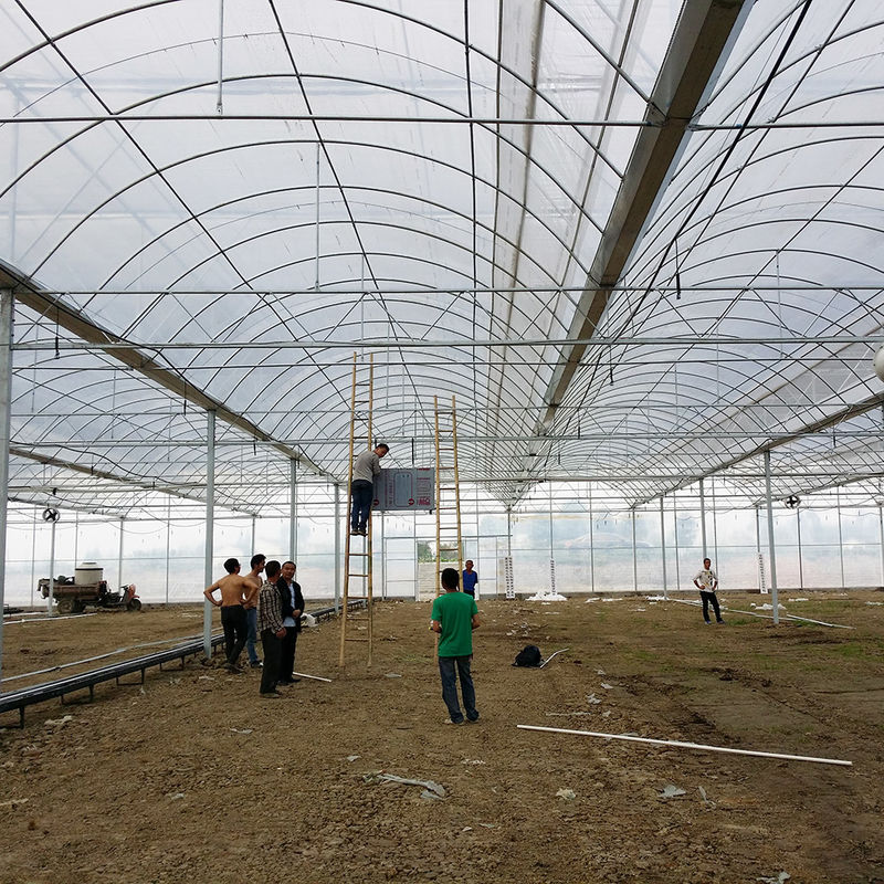 قاب فولادی ضد زنگ قابل اعتماد فلمی طولانی مدت برای گوجه فرنگی