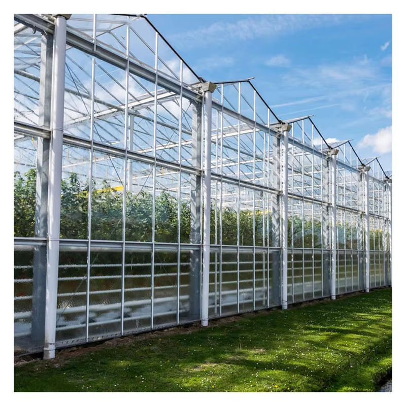 زراعت ولو نوع شیشه گلخانه مهندسی هلندی قاب گالوانیزه برای هیدروپونیک