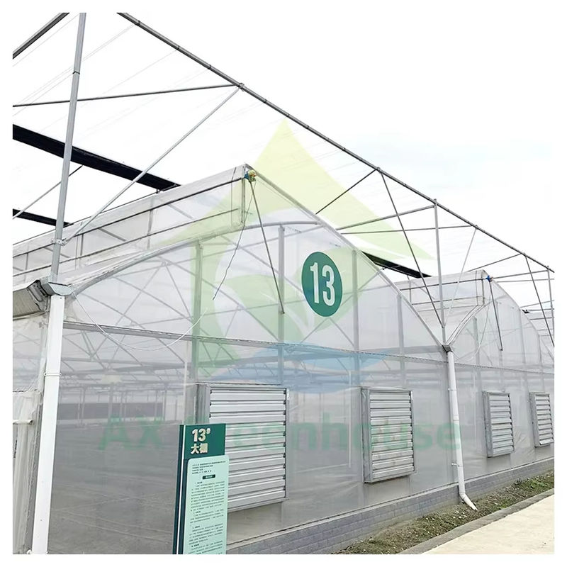 گلخانه تونل پلی اتیلن چند دهانه با سقف دندانه اره ای برای تهویه طبیعی و انتشار نور