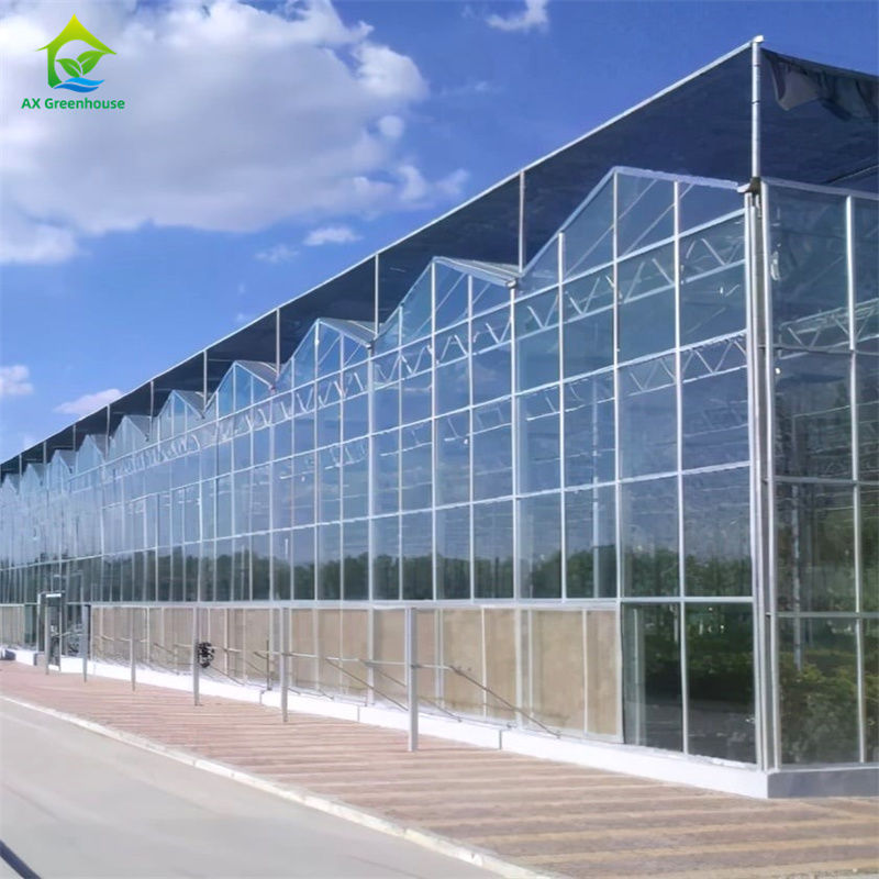 تجهیزات زراعت توت فرنگی در گلخانه پلی کربنات شیشه ای دوامدار - کیت گلخانه ای همه در یک