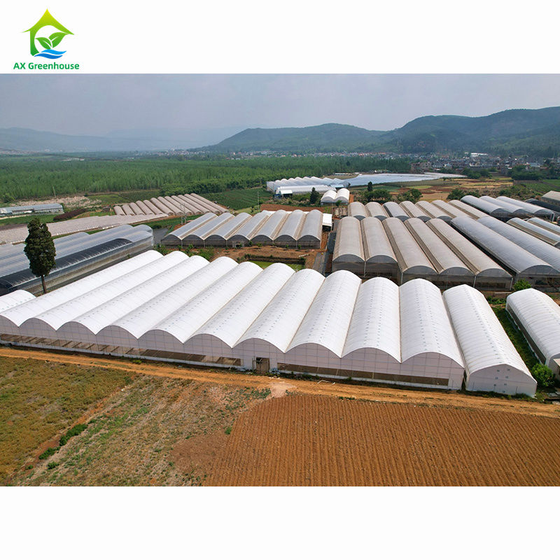 گلخانه های کشاورزی چند فصلی در مقیاس بزرگ. کارخانه گلخانه ای حرفه ای برای سفارشی سازی انبوه.