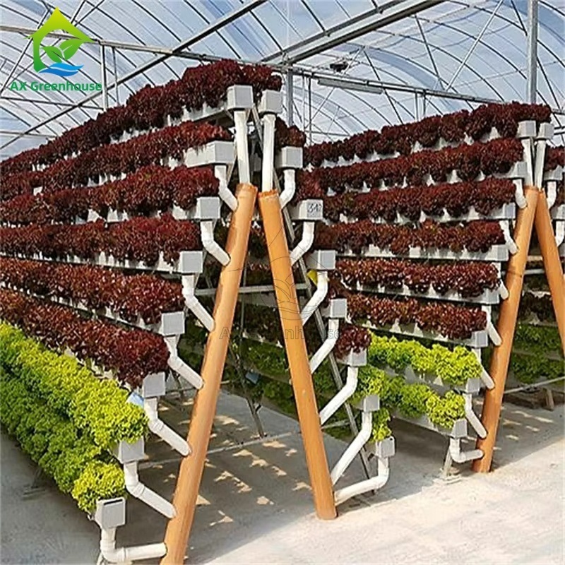 سیستم کشت بدون خاک گلخانه ای، سیستم A-frame، تکنیک فیلم مواد مغذی (NFT)، کانال کشت سبزیجات کارآمد