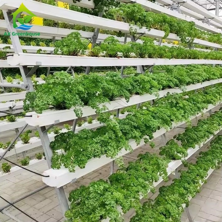 سیستم کشت بدون خاک گلخانه ای، سیستم A-frame، تکنیک فیلم مواد مغذی (NFT)، کانال کشت سبزیجات کارآمد