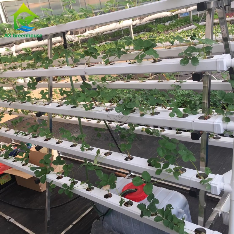 سیستم کشت بدون خاک گلخانه ای، سیستم A-frame، تکنیک فیلم مواد مغذی (NFT)، کانال کشت سبزیجات کارآمد