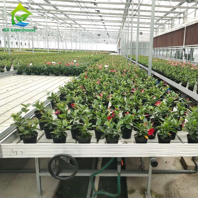 نیمکت جریان و ریزش با قاب آلومینیومی تجاری با ارتفاع قابل تنظیم و سینی PP/ABS یکپارچه برای گلخانه ها