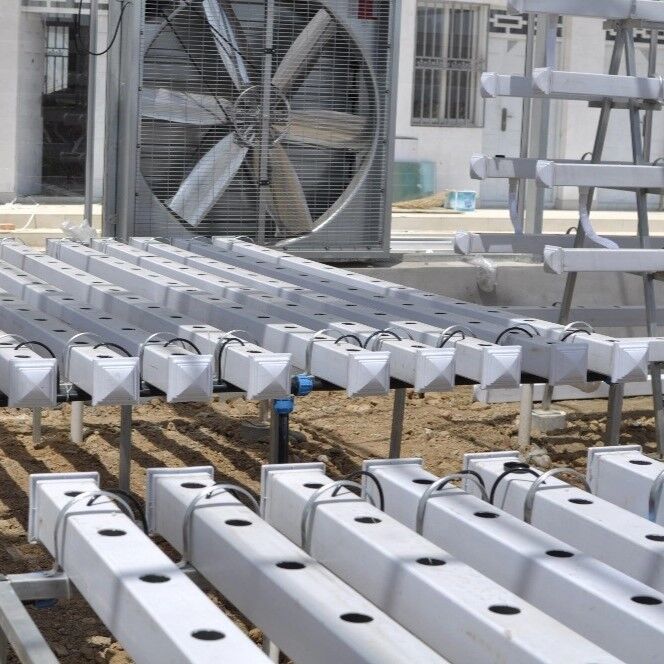 سیستم گلی هیدروپونیک NFT PVC درجه غذایی با مهار کننده های UV و ابعاد قابل تنظیم برای گلخانه های تجاری