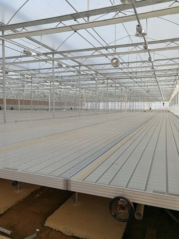 میز سیلاب هیدروپونیک با عرض 0.71-1.78 متر نیمکت های نورد گلخانه ای Ebb And Flow