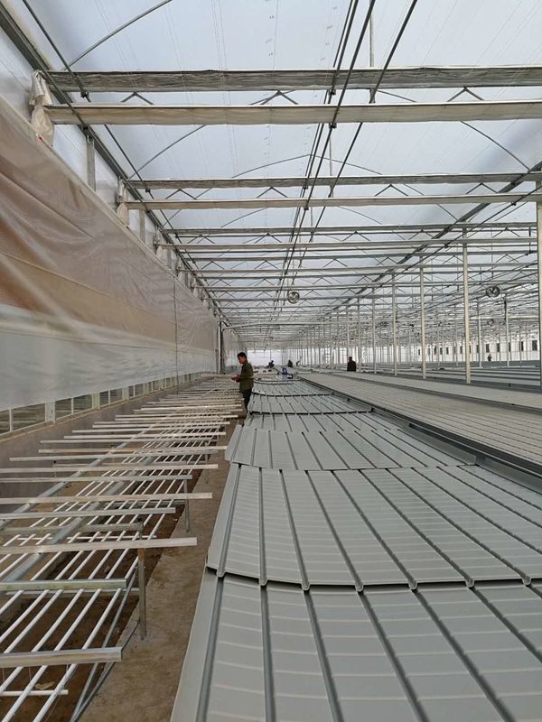 میز سیلاب هیدروپونیک با عرض 0.71-1.78 متر نیمکت های نورد گلخانه ای Ebb And Flow