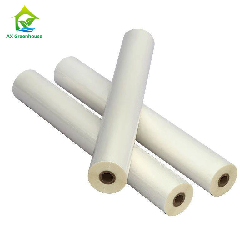پوشش پلاستیکی گلخانه پلی اتیلن پلی اتیلن PO 0.1-0.2mm با گذرندگی بالا فیلم پلی گلخانه ای