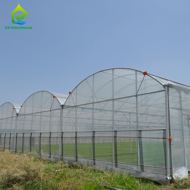 OEM نوع زنجیر دستی غلتک فیلم بالا برای سیستم تهوع