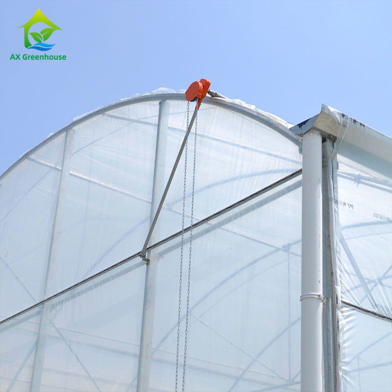 OEM نوع زنجیر دستی غلتک فیلم بالا برای سیستم تهوع