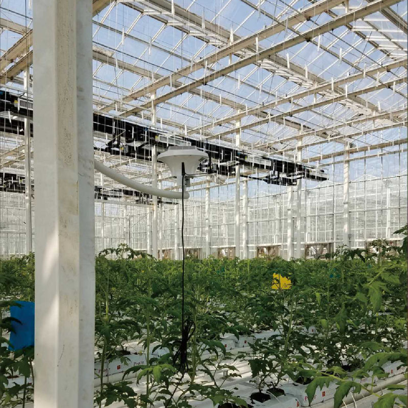 سیستم نظارت هوشمند گلخانه ای با قدرت AC220V و CO2 غلظت 0 ~ 50000 PPM برای کنترل آب و هوا بهینه