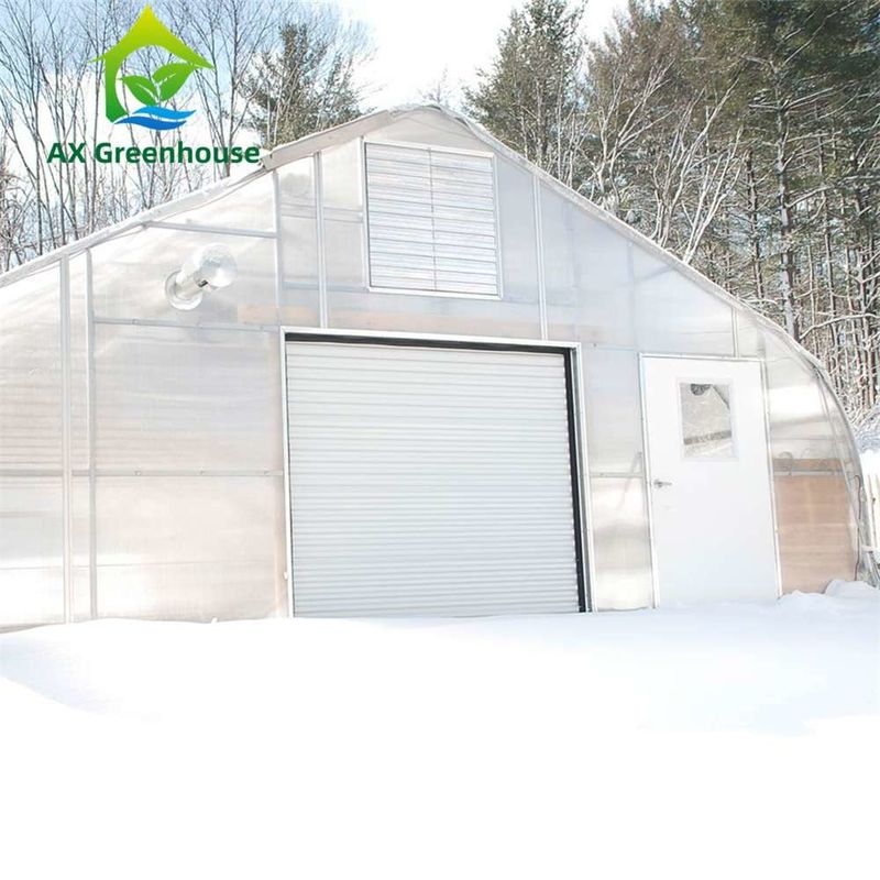 آسان جمع آوری شفاف صفحه PC گلخانه با اندازه سفارشی و فریم فولاد گرم گالوانیزه