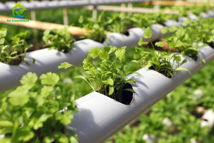 زراعت بدون خاک در محیط های داخلی رشد توت فرنگی لوله PVC برای سیستم NFT هیدروپونیک برای فروش