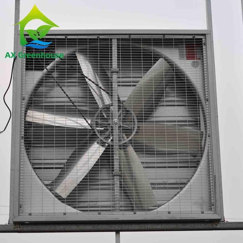 دیا 500-1250mm تیغه اگزوز فن های دیواری مرطوب فن های استخراج کننده دیواری صنعتی